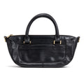 Shoulder Bag Danula PM Black Epi