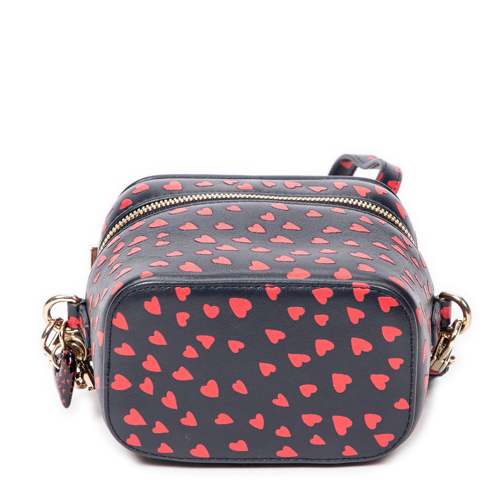 Shoulder Bag Micro Lady Dior Vanity Case Navy Heart Printed Leather