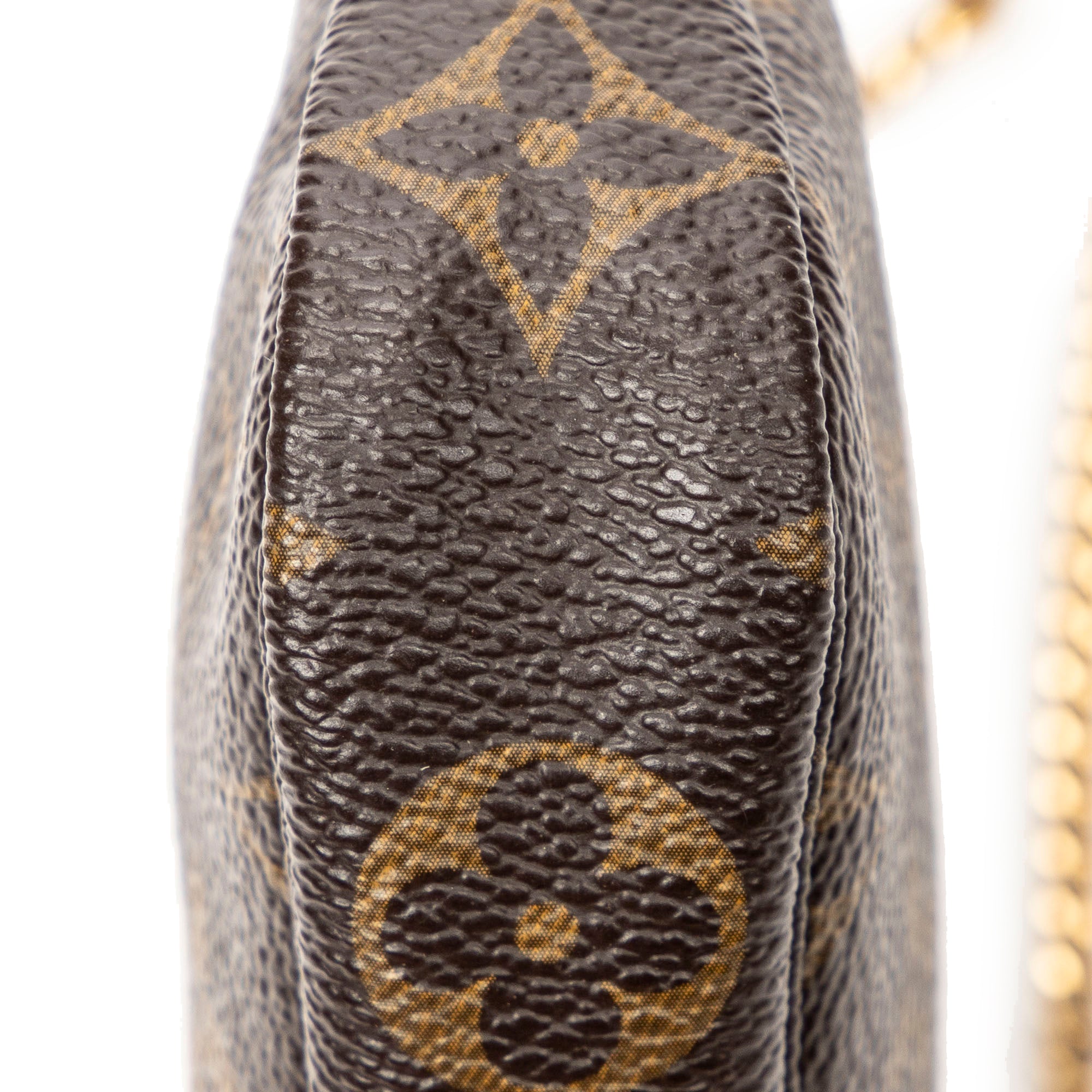 Pouch Ltd.Ed.Trunks&Bags Mini Pochette Accessoires Brown Monogram Trunks