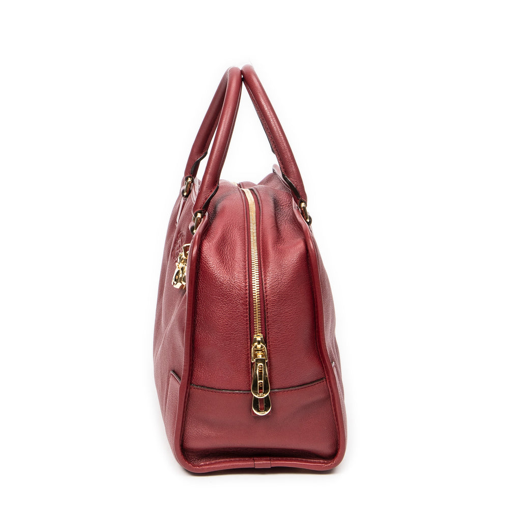 Handbag Amazona 36 Burgundy Grained Calfskin Leather