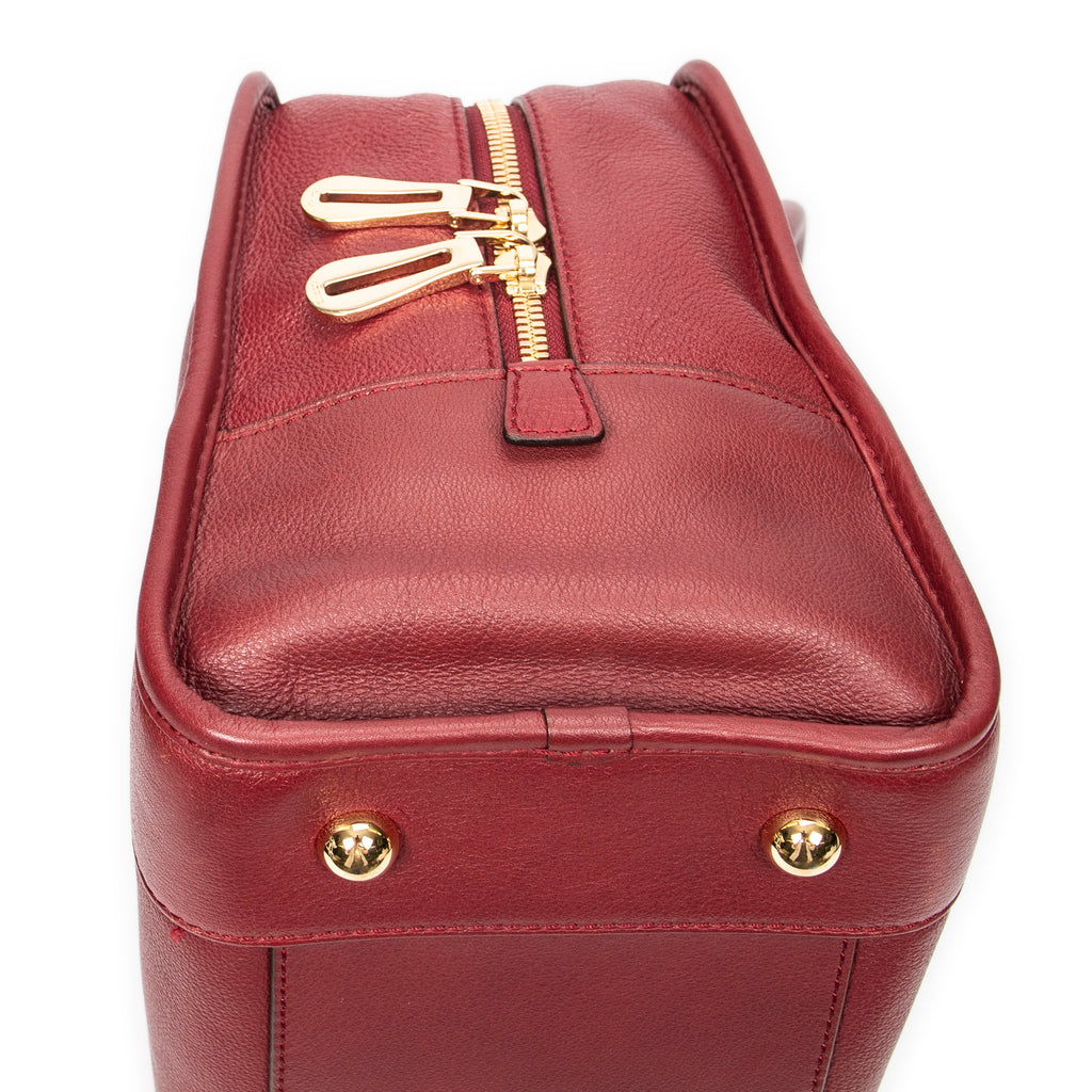 Handbag Amazona 36 Burgundy Grained Calfskin Leather