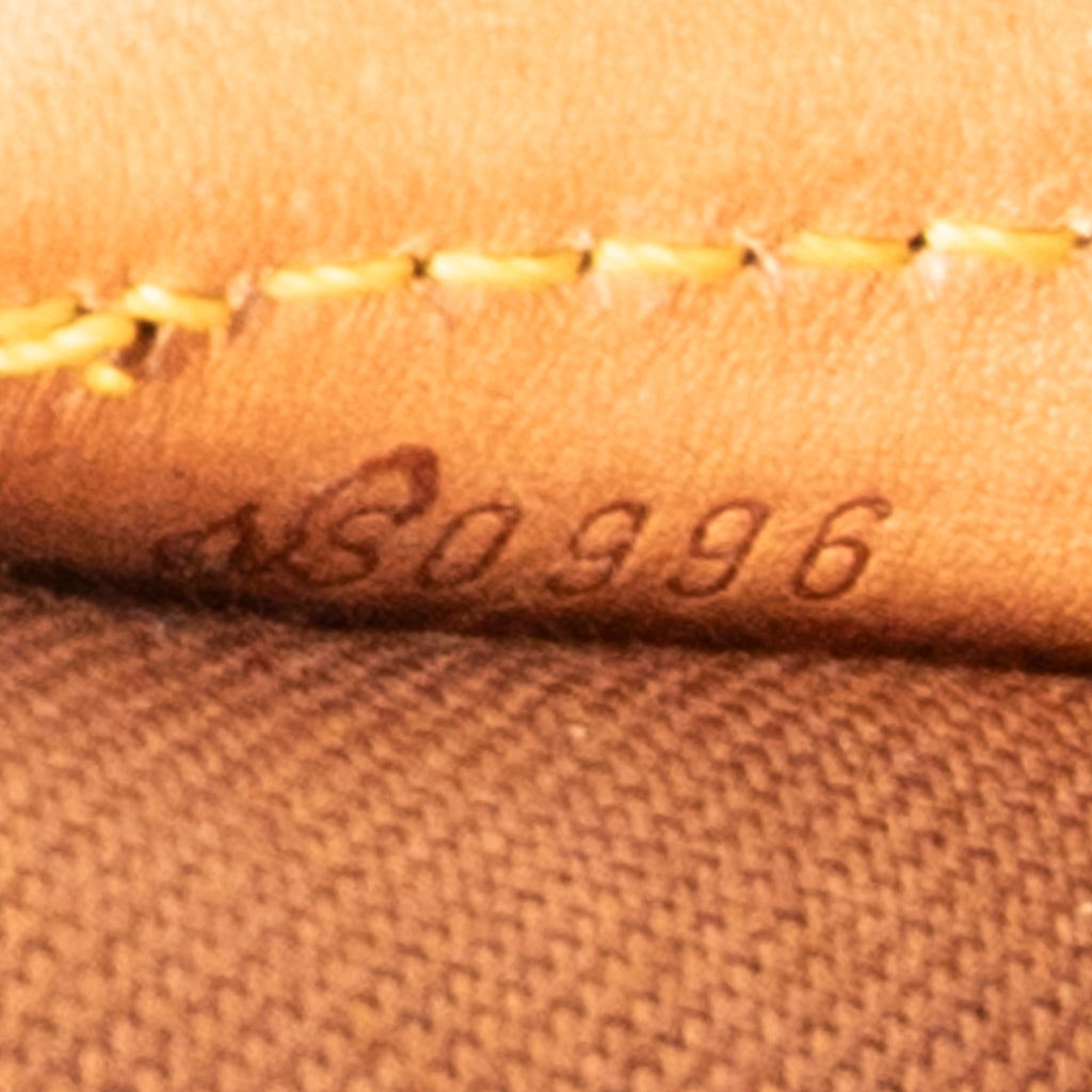 Shoulder Bag Columbine GM Brown Damier Ebene