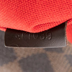 Shoulder Bag Bloomsbury PM Brown Damier Ebene
