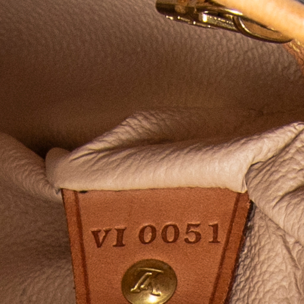 Shoulder bag Bucket PM Brown Monogram Canvas