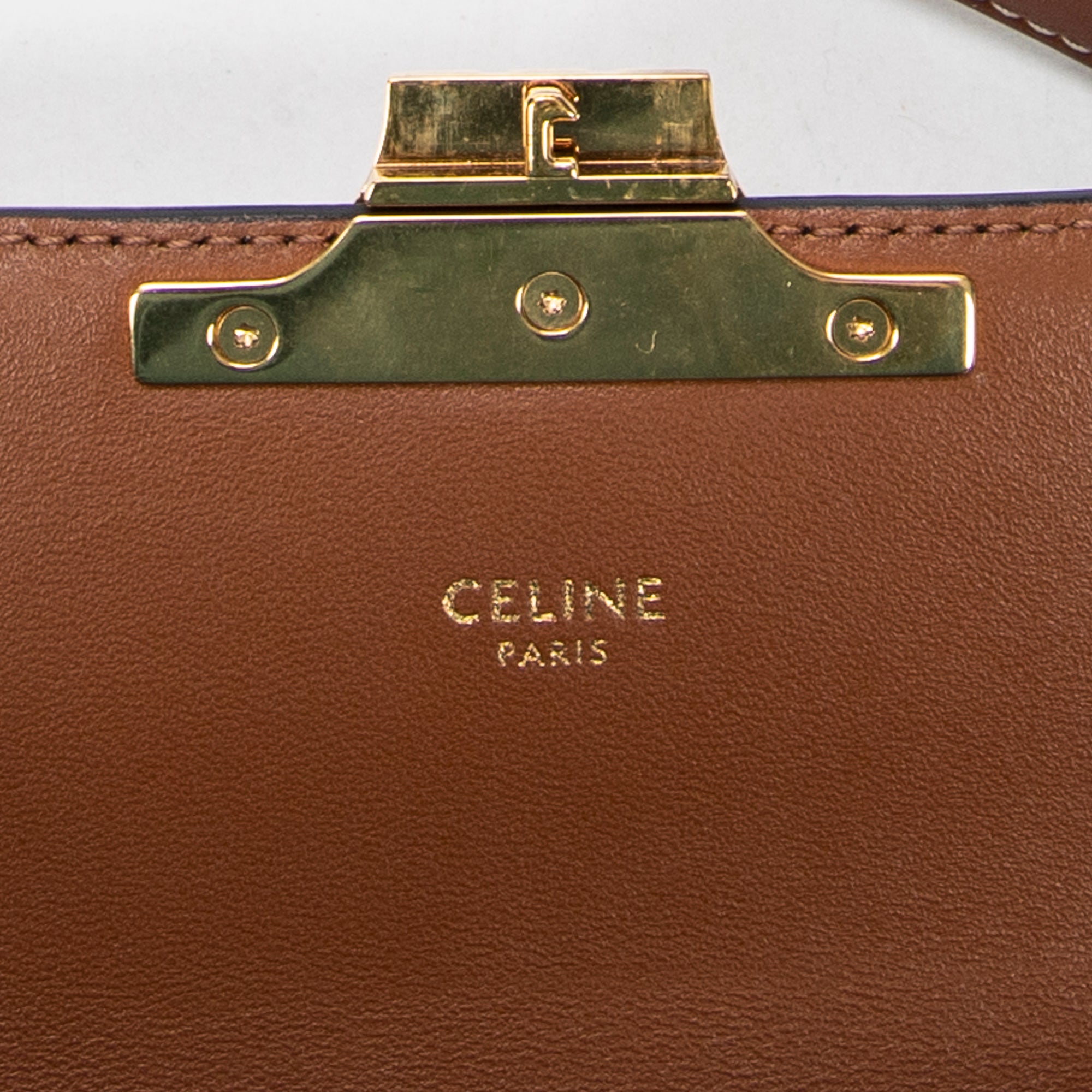 Shoulder bag Claude Tan Triomphe Coated Canvas