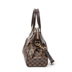Shoulder Bag Trevi PM Brown Damier Ebene
