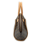 Handbag Ellipse PM Brown Monogram Canvas