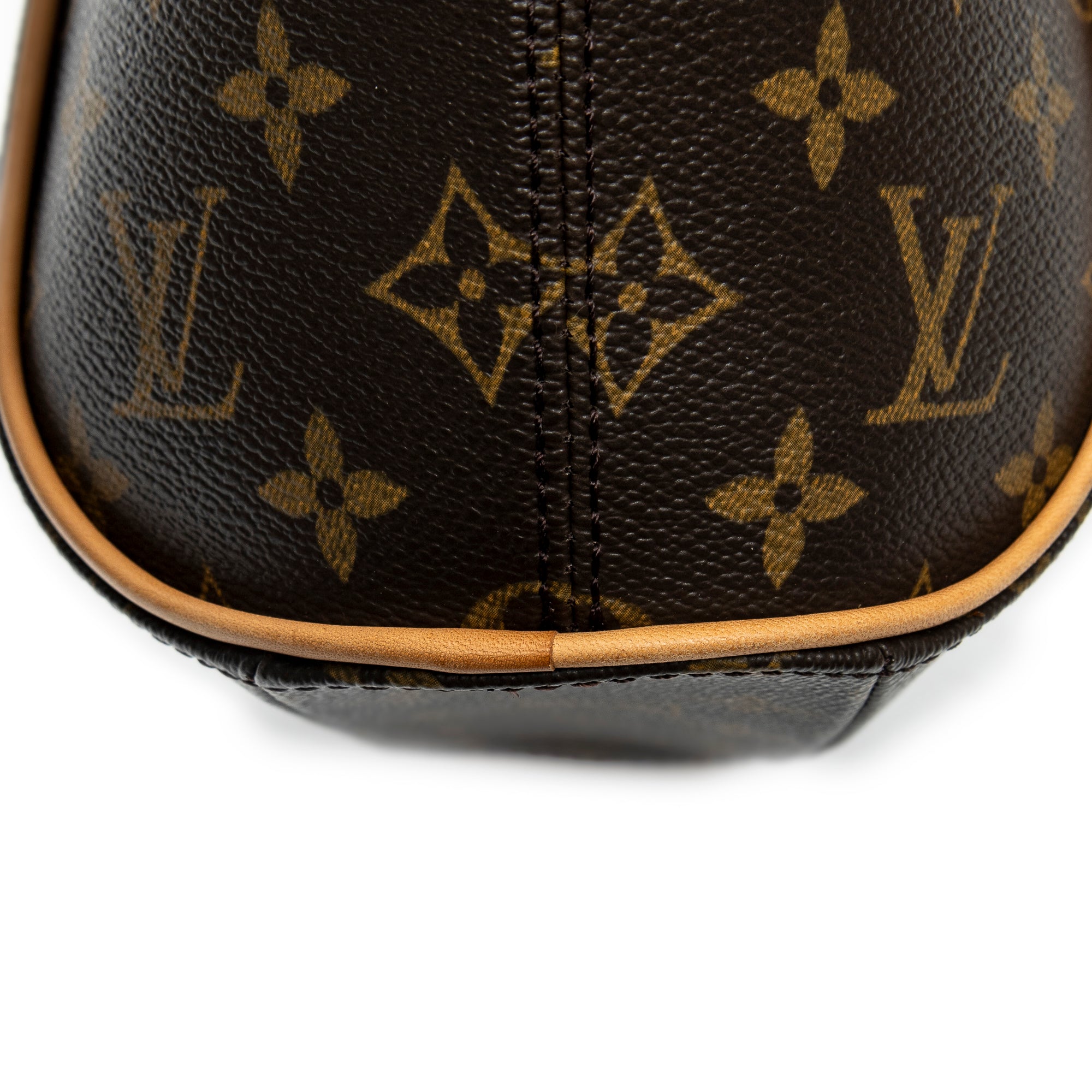 Handbag Ellipse PM Brown Monogram Canvas