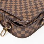 Bolsa de Viaje Funda para Ropa Marrón Damier Ebene