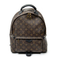 Backpack Palm Springs MM Brown Monogram Macassar