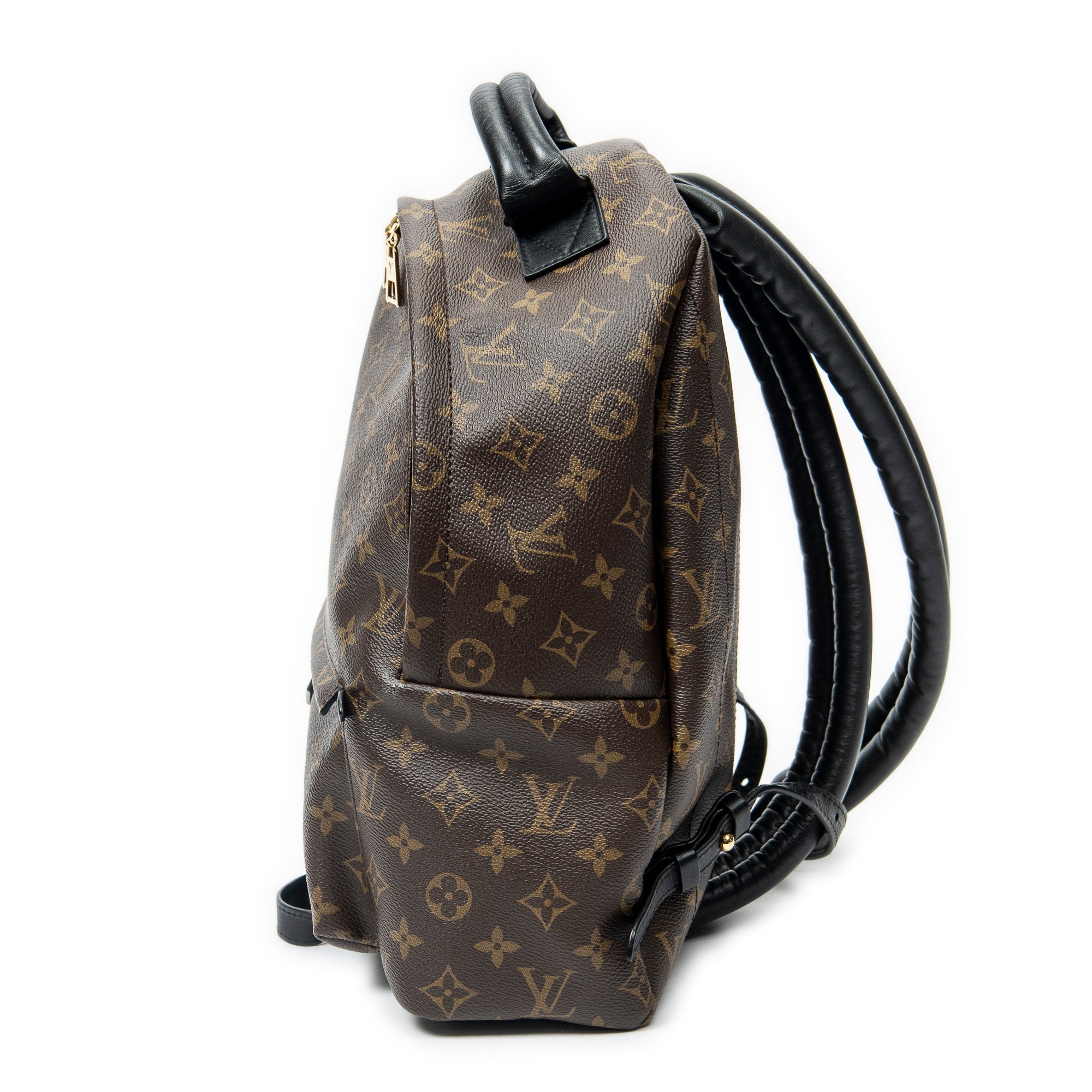 Backpack Palm Springs MM Brown Monogram Macassar