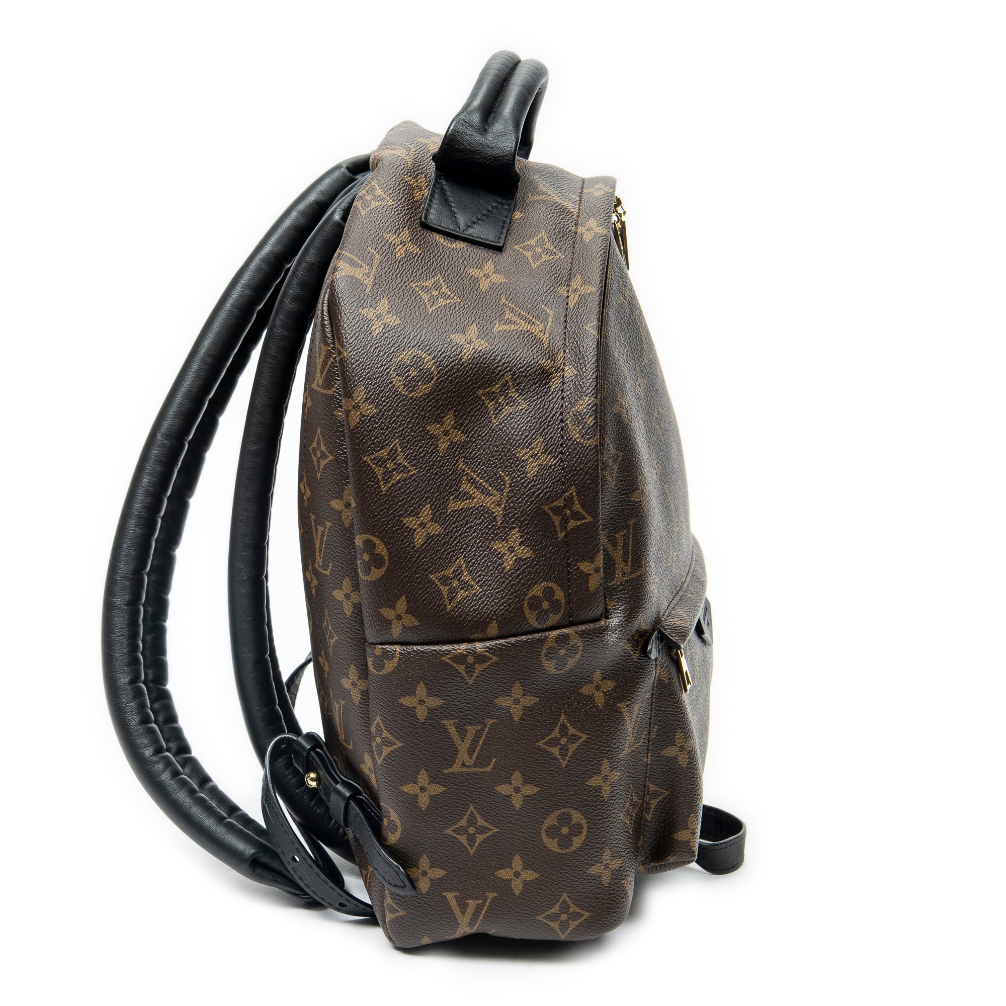 Backpack Palm Springs MM Brown Monogram Macassar