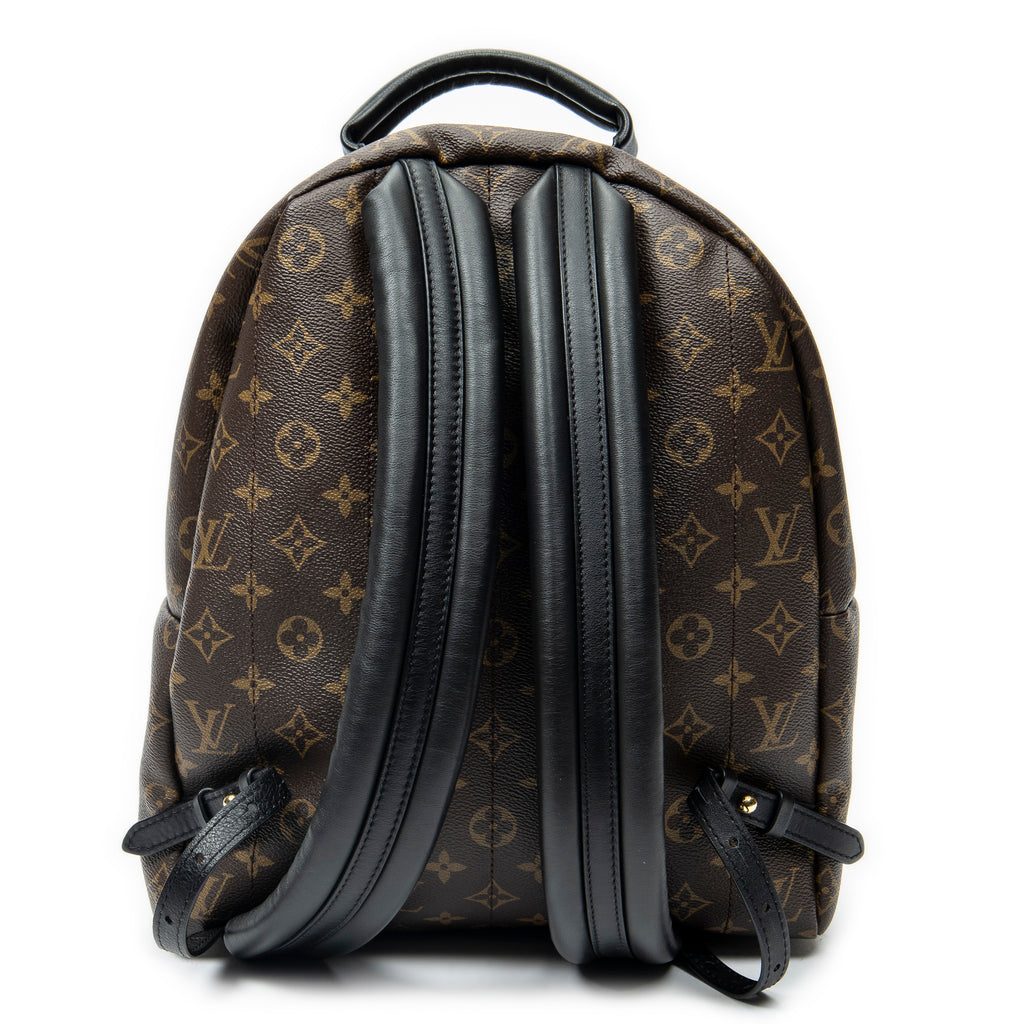 Backpack Palm Springs MM Brown Monogram Macassar