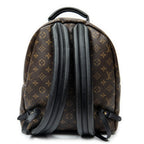 Backpack Palm Springs MM Brown Monogram Macassar