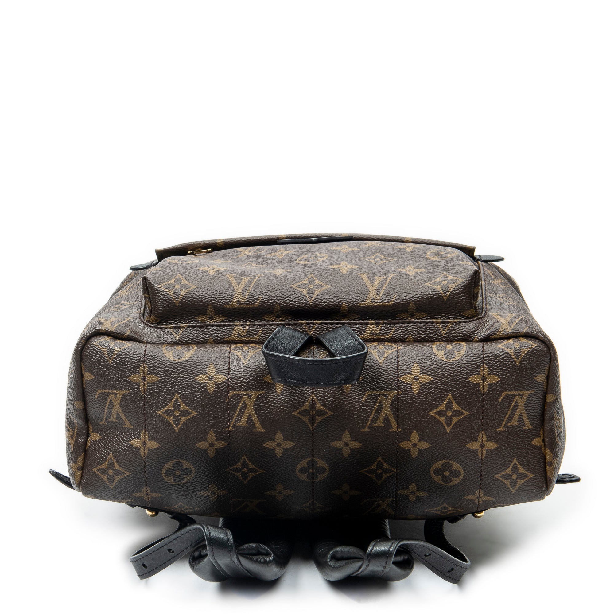 Backpack Palm Springs MM Brown Monogram Macassar