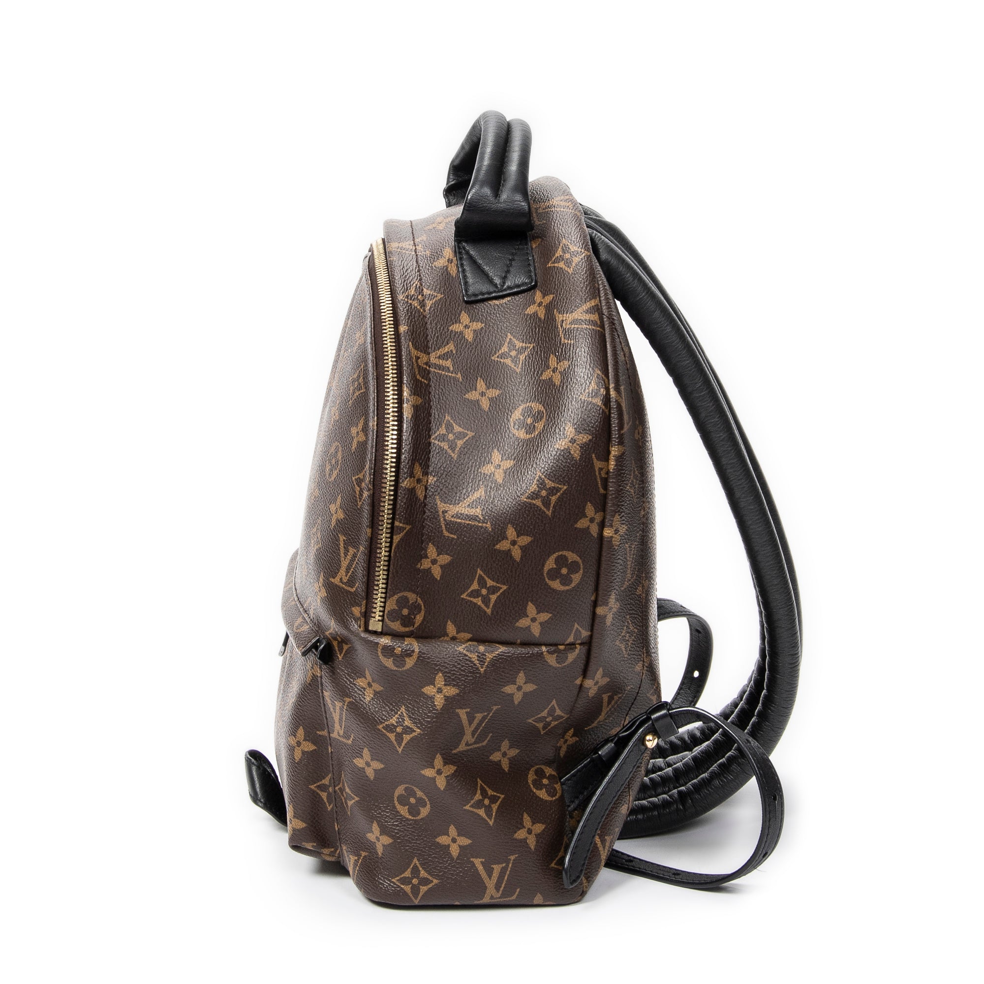 Backpack Palm Springs MM Brown Monogram Macassar