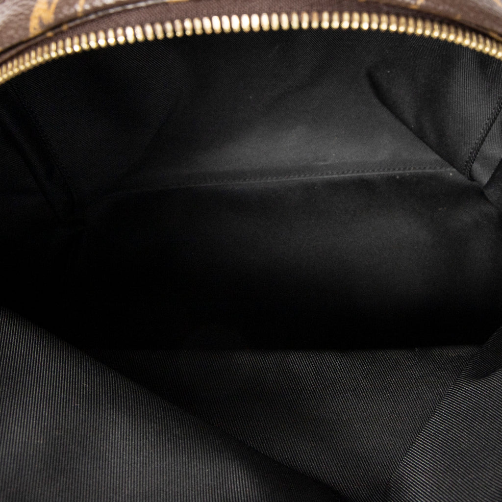 Backpack Palm Springs MM Brown Monogram Macassar