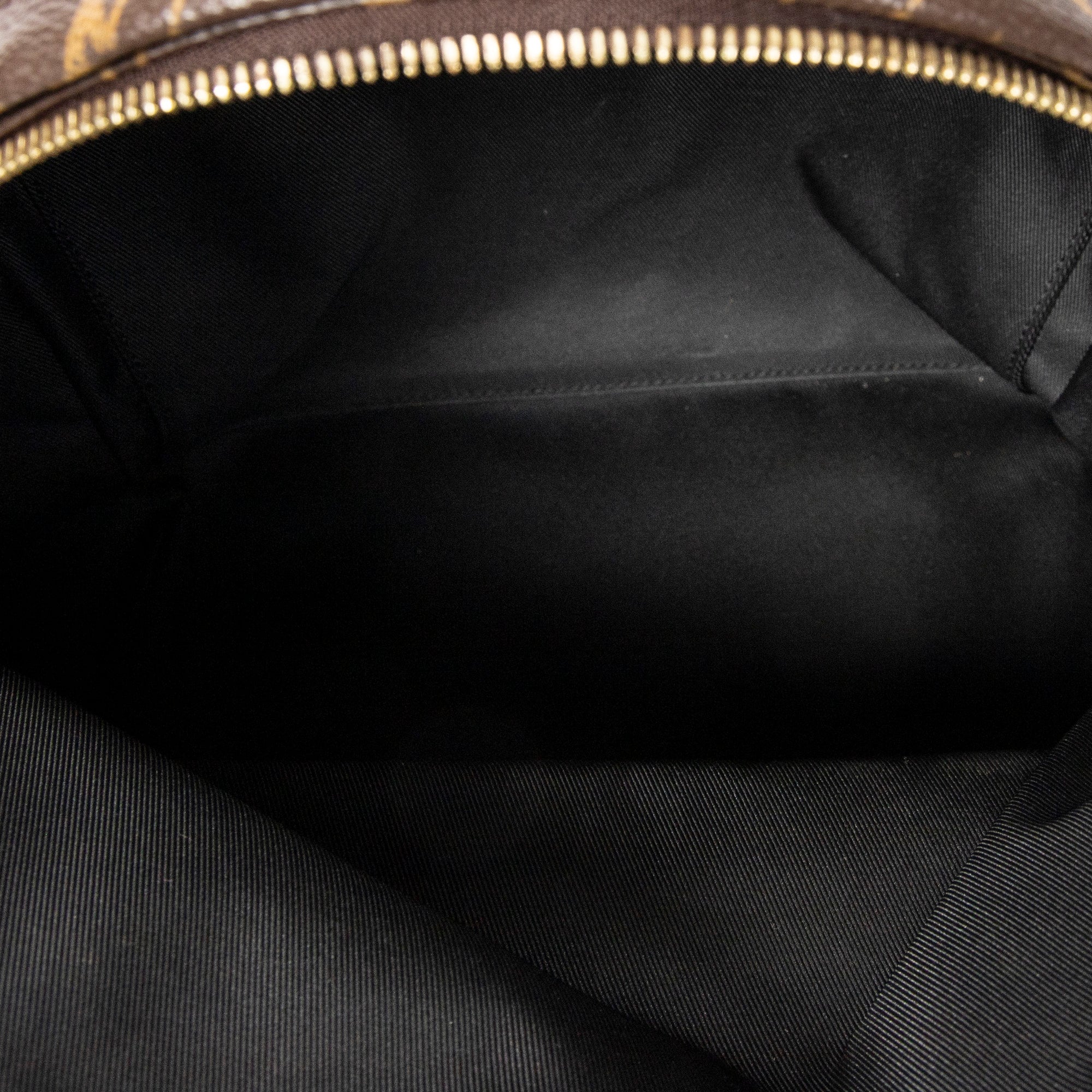 Backpack Palm Springs MM Brown Monogram Macassar
