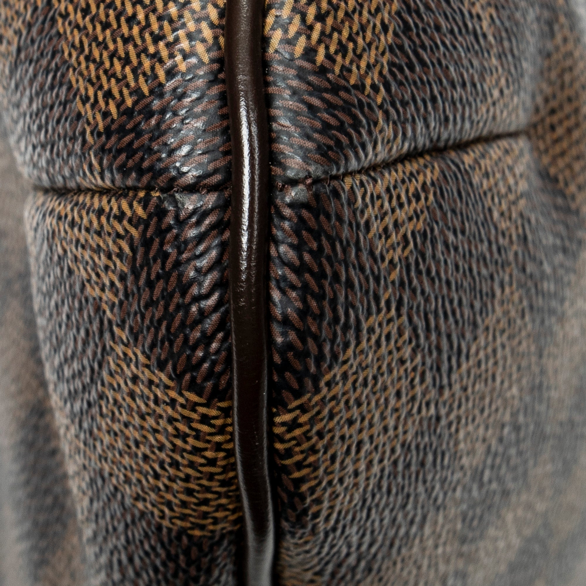 Shoulder Bag Bloomsbury PM Brown Damier Ebene