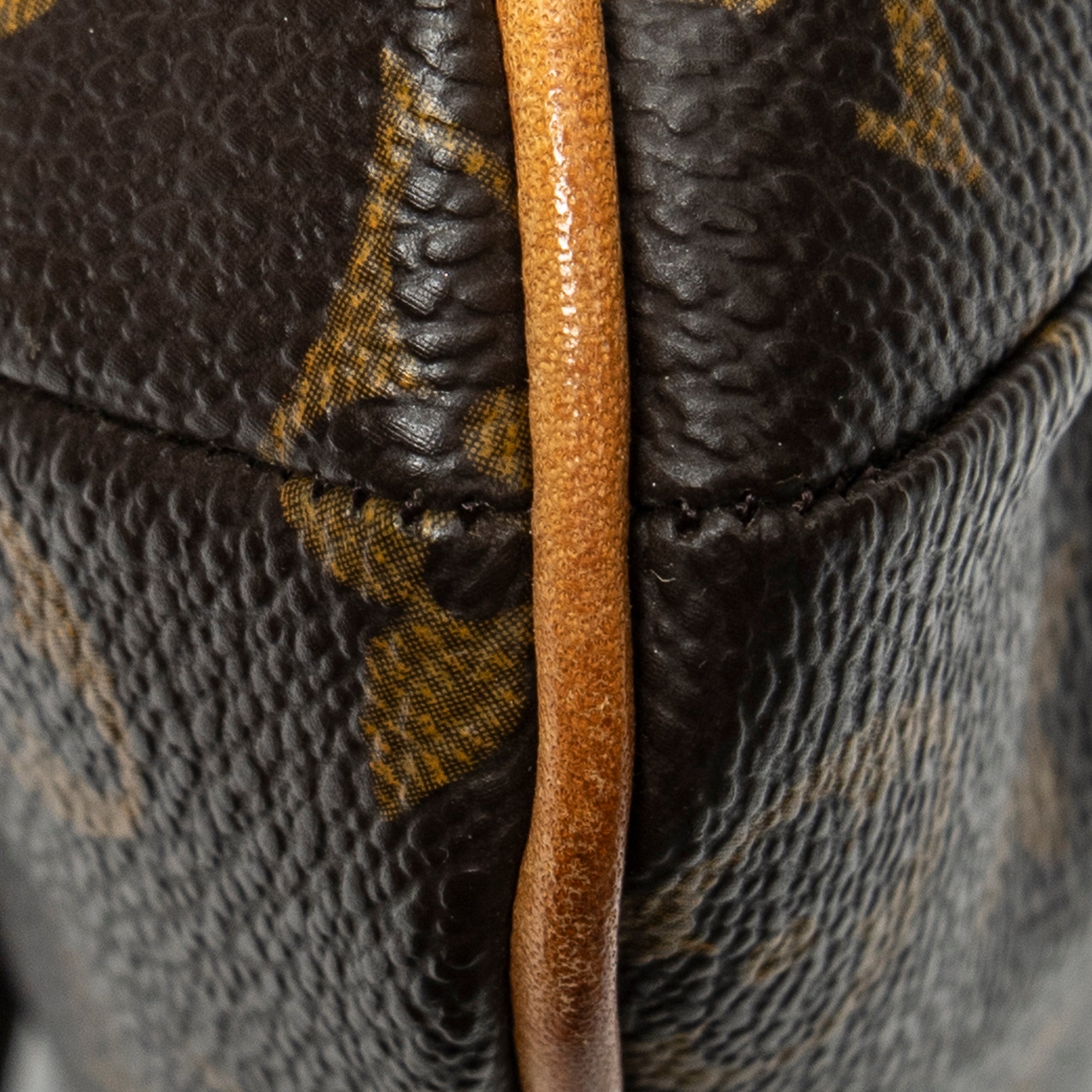Shoulder Bag Musette Salsa Brown Monogram Canvas
