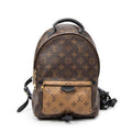 Backpack Palm Springs PM Brown Monogram Reverse