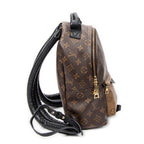 Backpack Palm Springs PM Brown Monogram Reverse