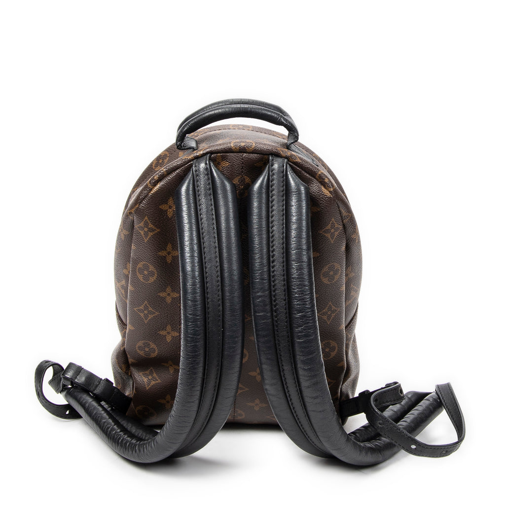 Backpack Palm Springs PM Brown Monogram Reverse