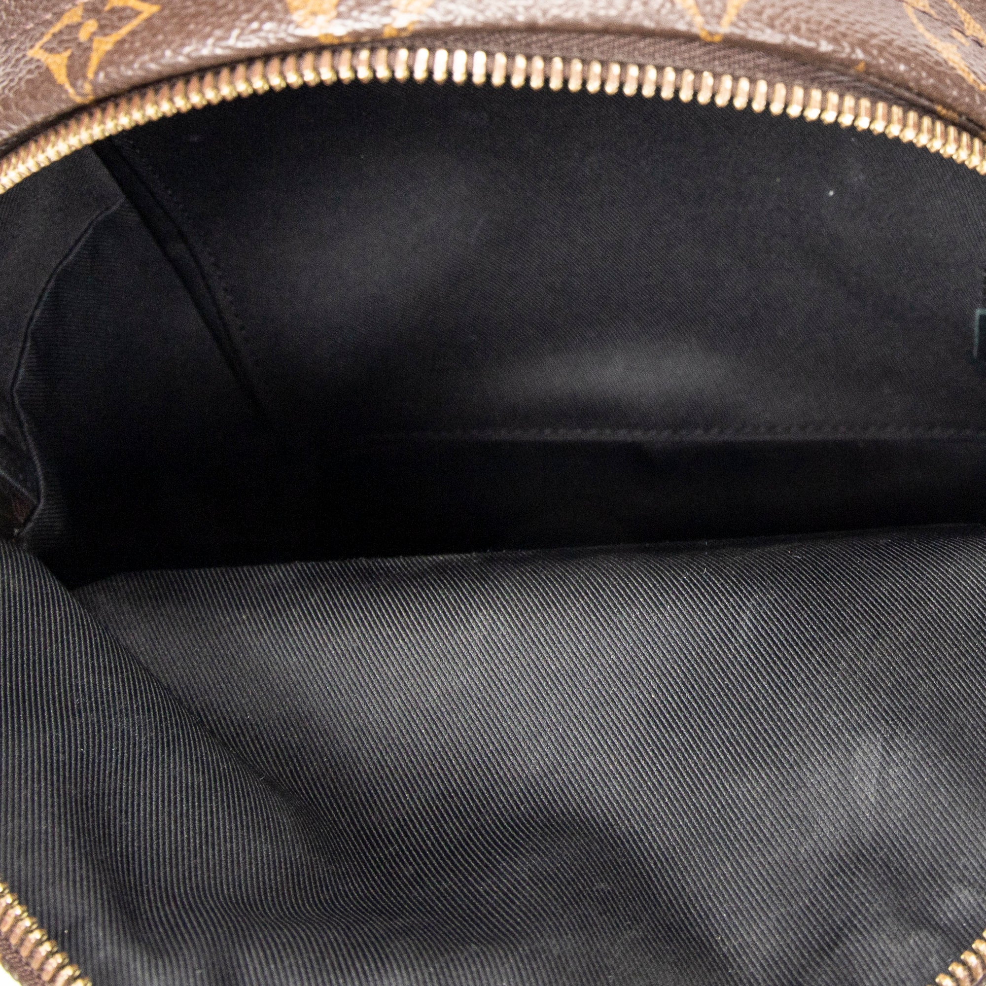 Backpack Palm Springs PM Brown Monogram Reverse