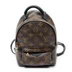 Backpack Palm Springs PM Brown Monogram Canvas