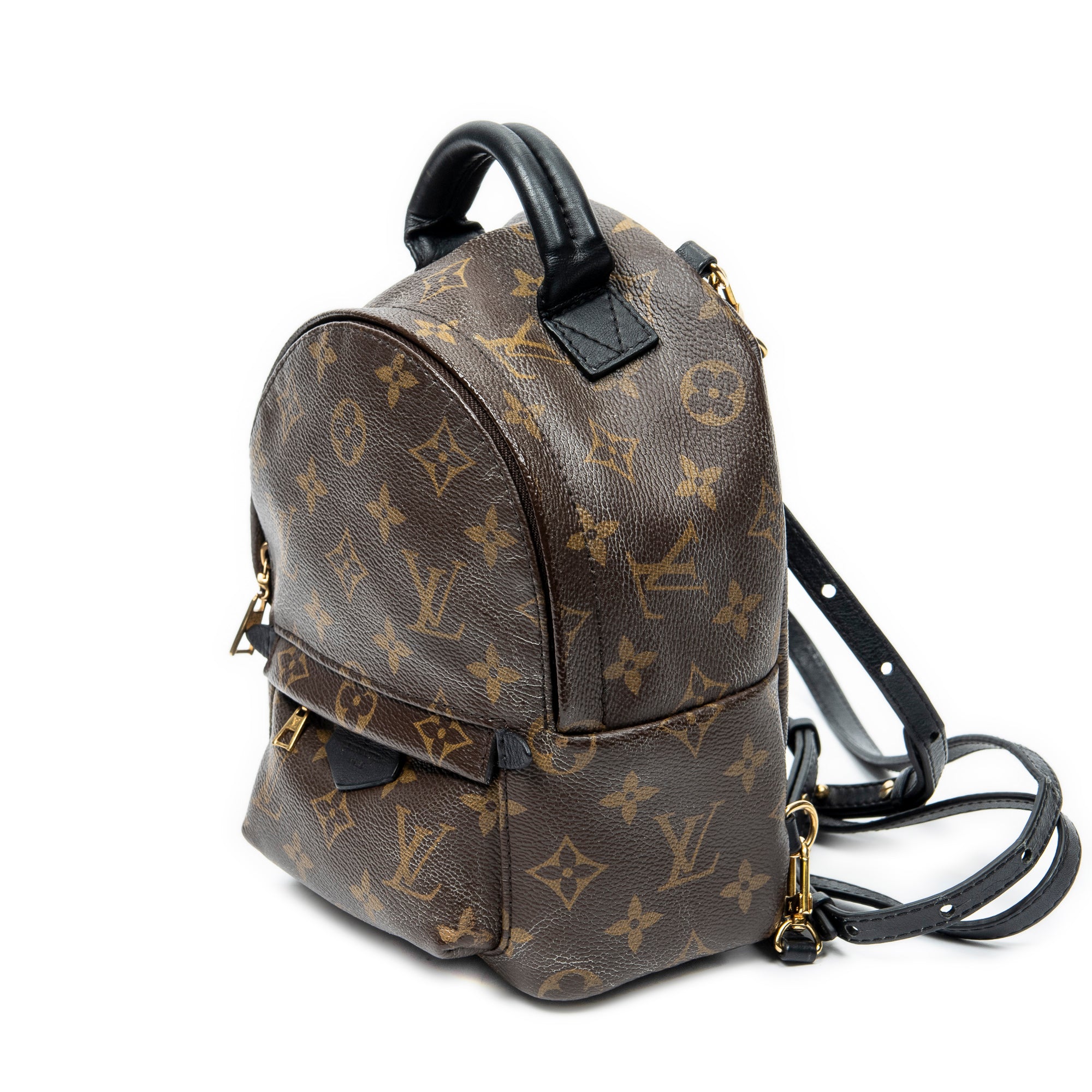Backpack Palm Springs PM Brown Monogram Canvas