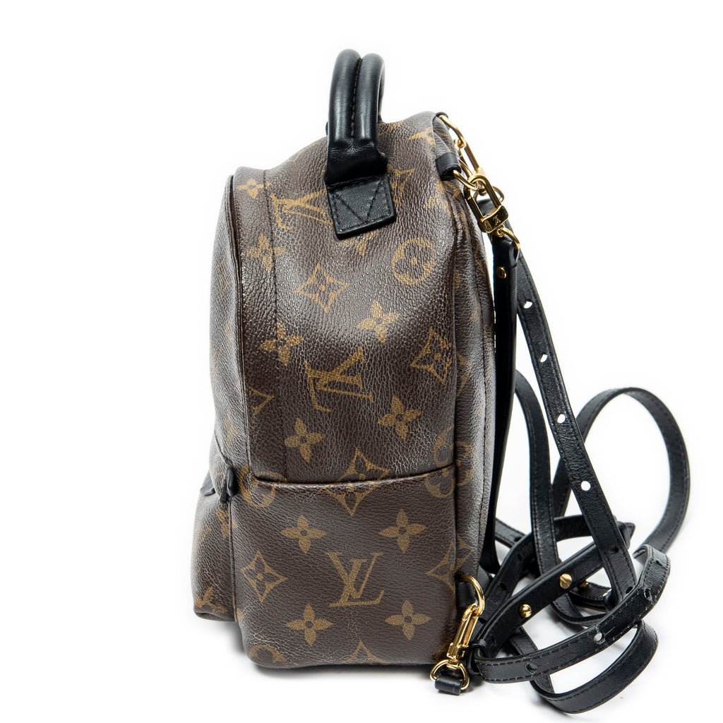 Backpack Palm Springs PM Brown Monogram Canvas