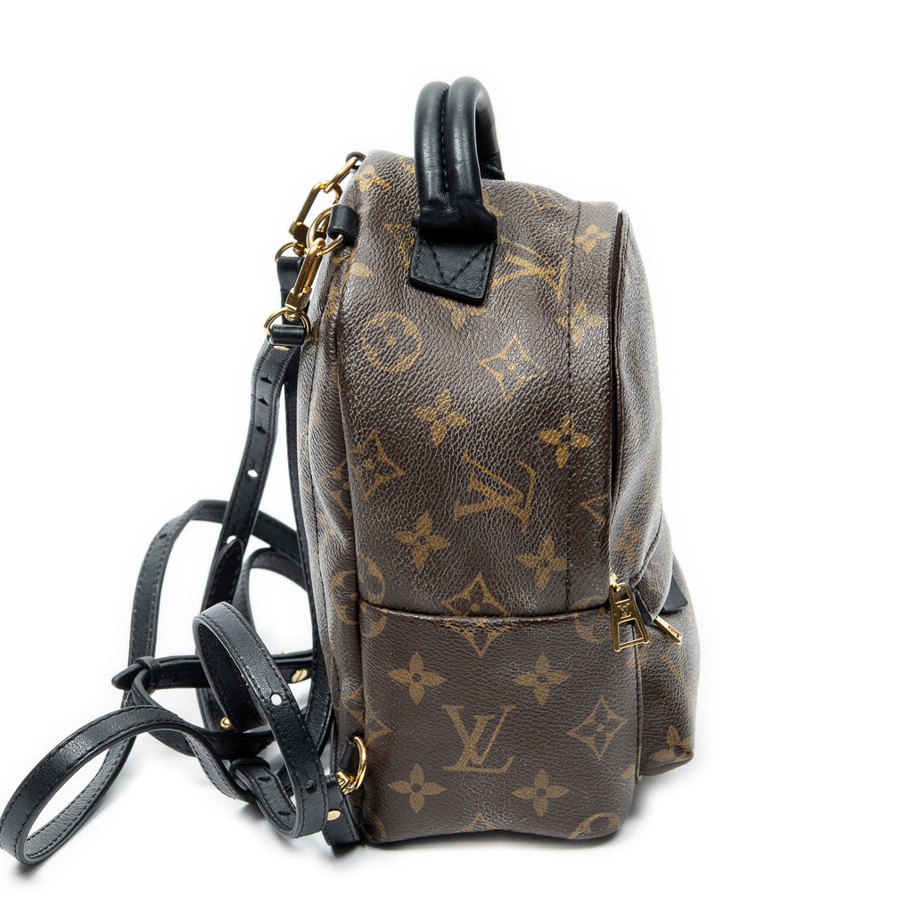 Backpack Palm Springs PM Brown Monogram Canvas