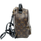 Backpack Palm Springs PM Brown Monogram Canvas