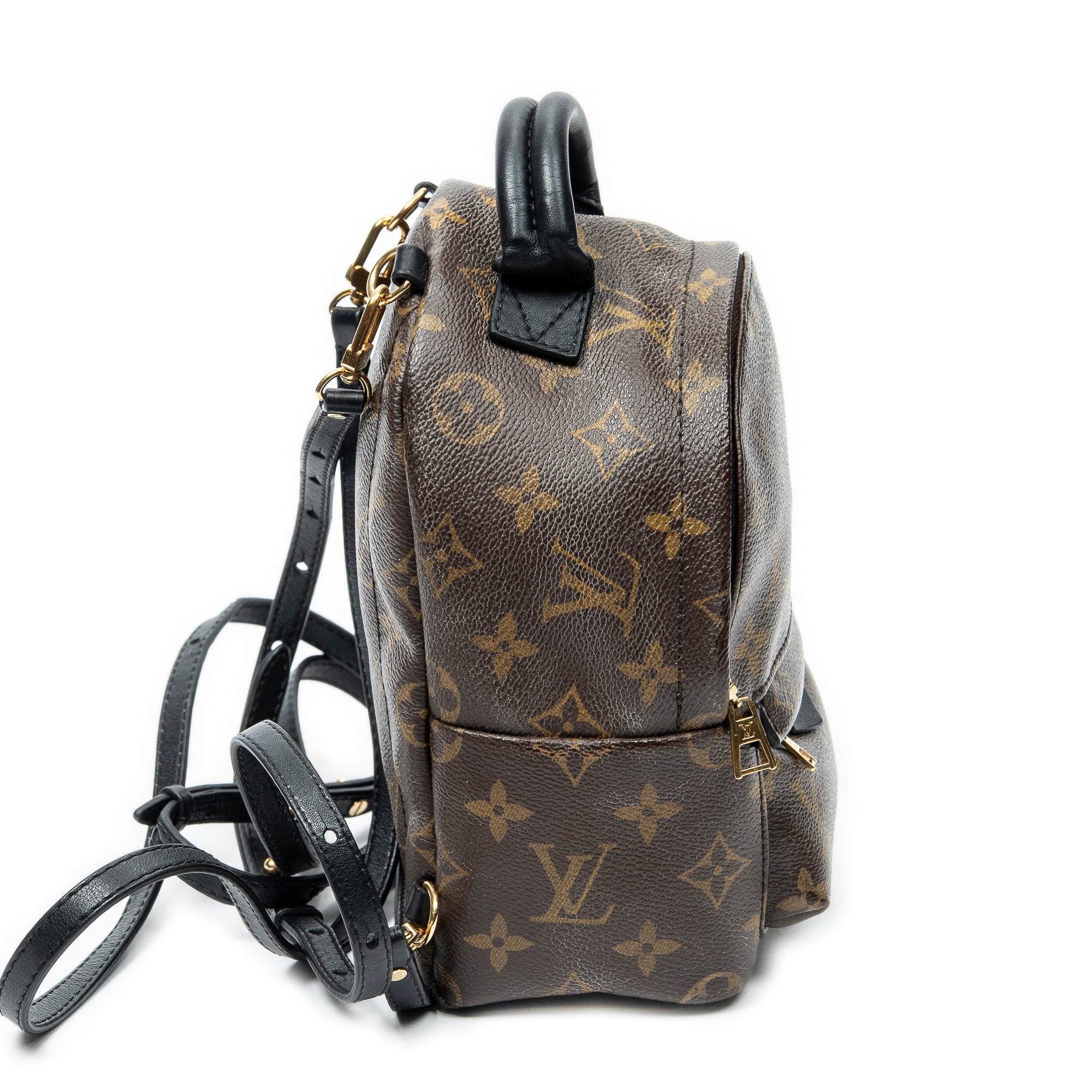 Backpack Palm Springs PM Brown Monogram Canvas