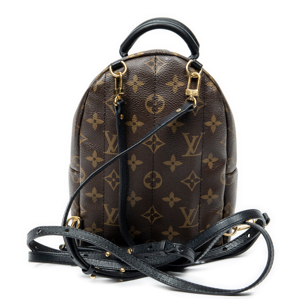 Backpack Palm Springs PM Brown Monogram Canvas