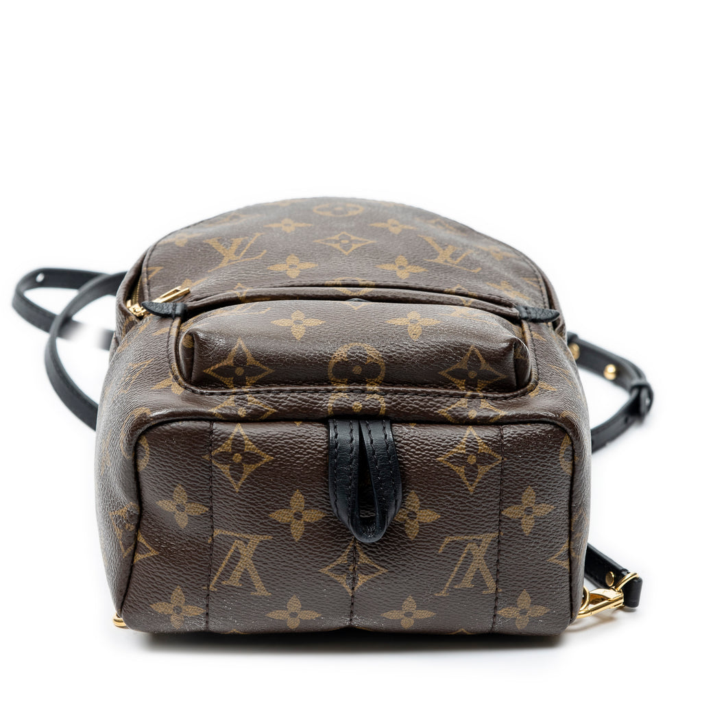 Backpack Palm Springs PM Brown Monogram Canvas