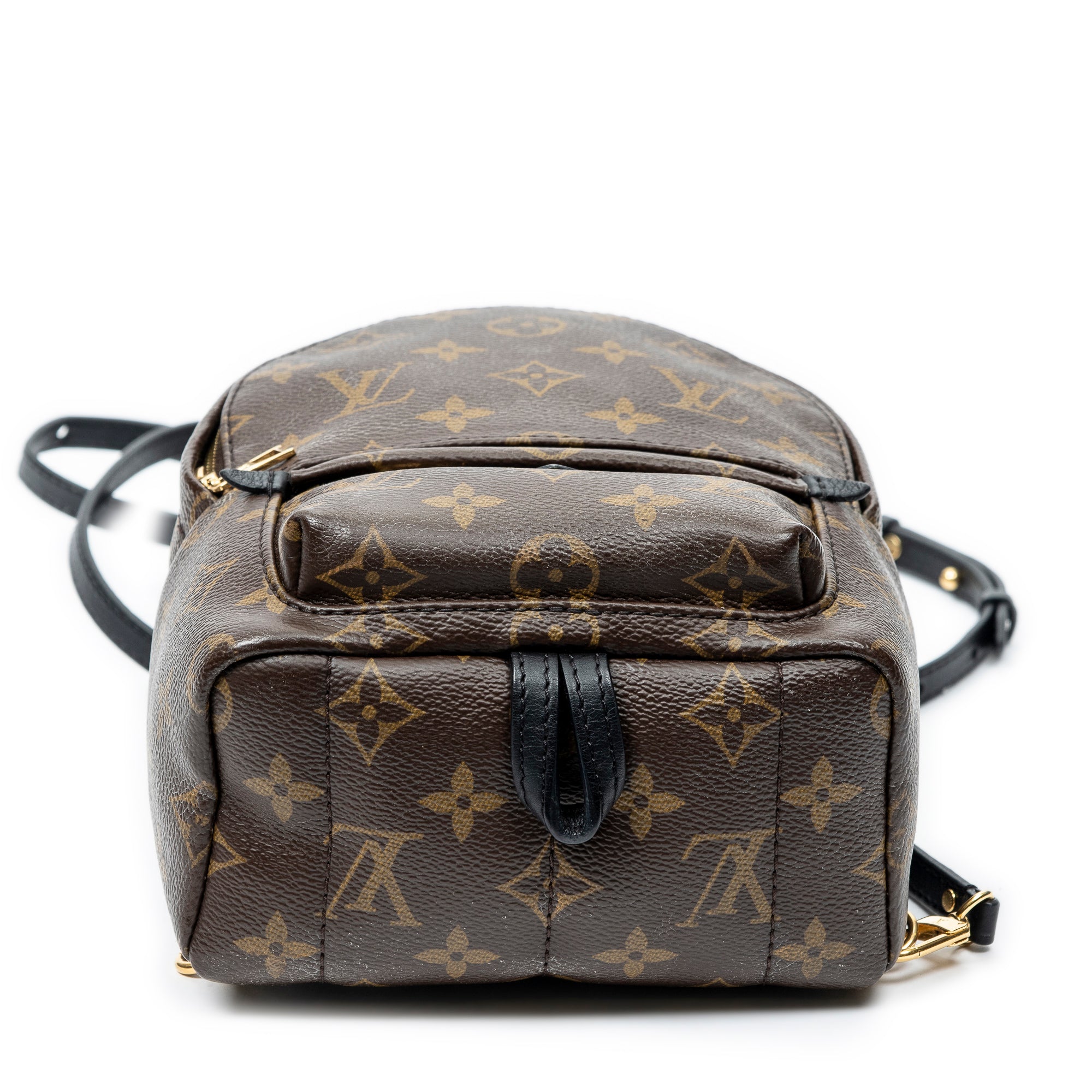 Backpack Palm Springs PM Brown Monogram Canvas