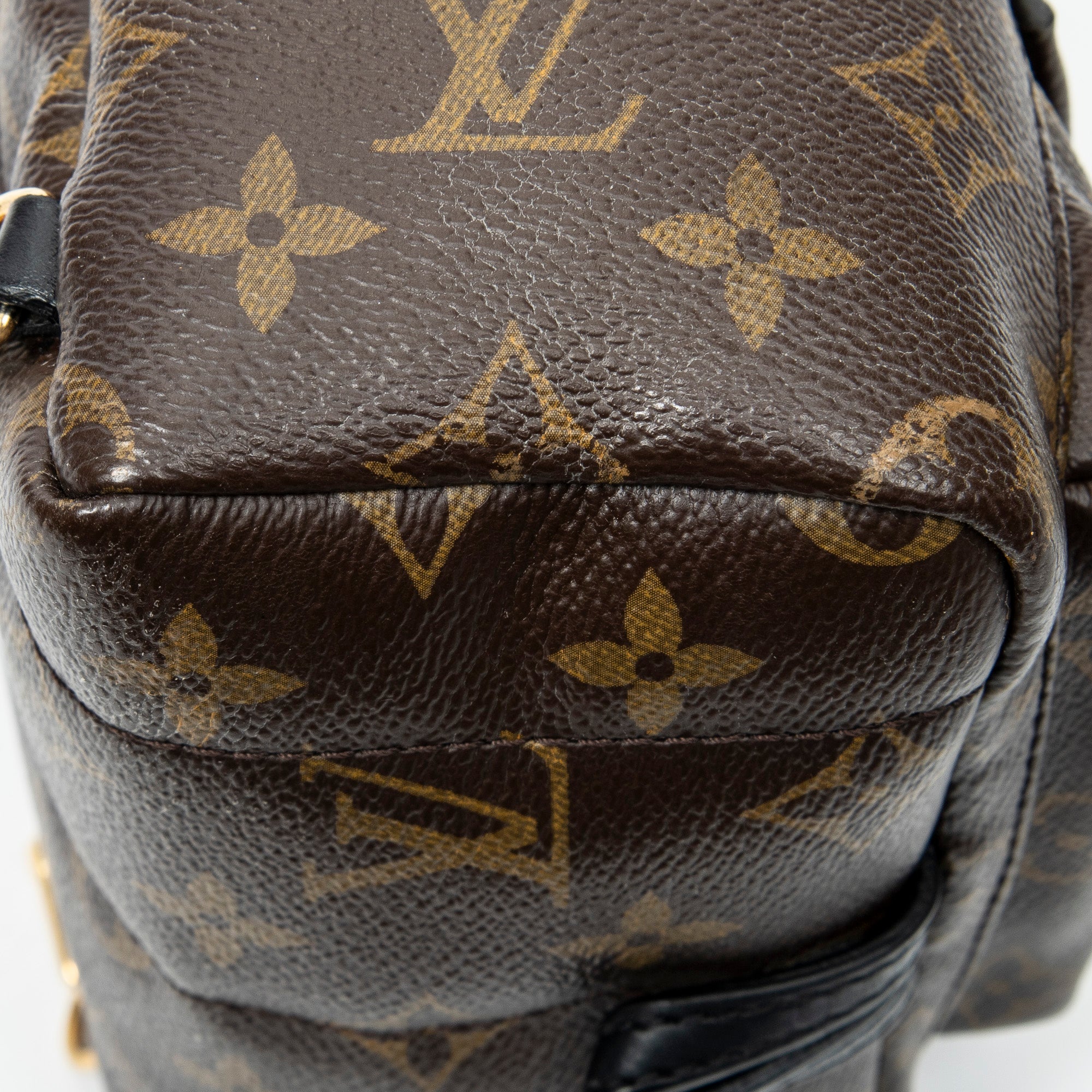 Backpack Palm Springs PM Brown Monogram Canvas