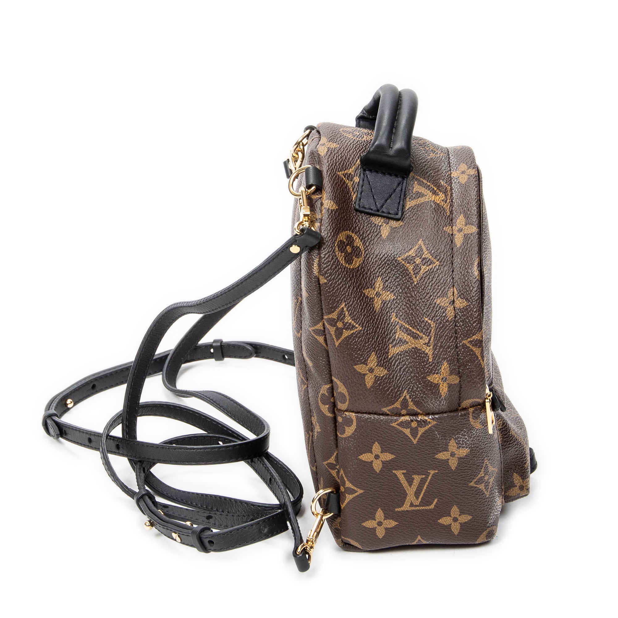 Backpack Palm Springs PM Brown Monogram Canvas