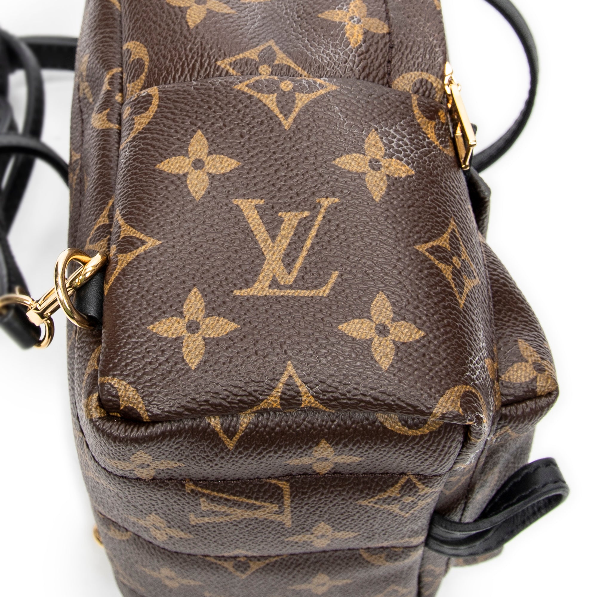Backpack Palm Springs PM Brown Monogram Canvas