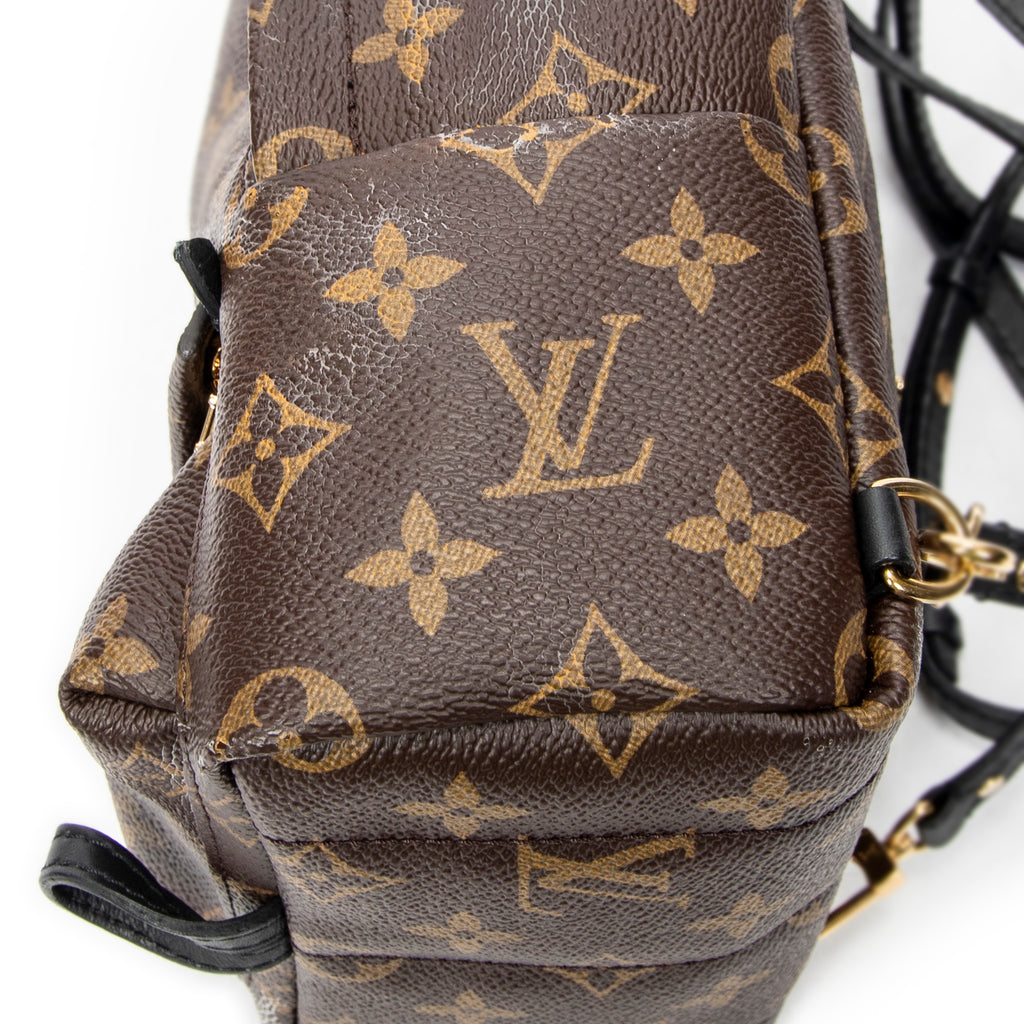 Backpack Palm Springs PM Brown Monogram Canvas