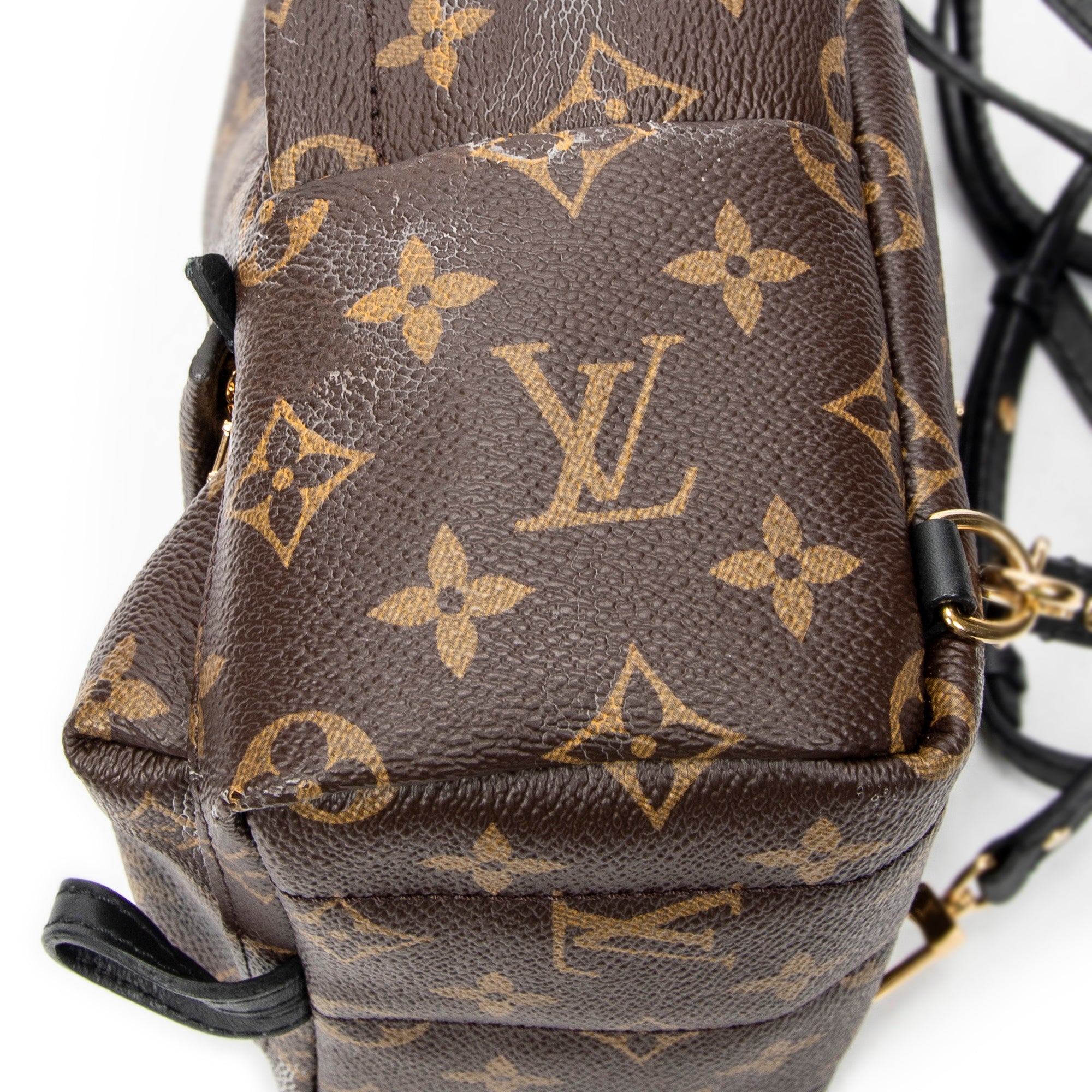 Backpack Palm Springs PM Brown Monogram Canvas