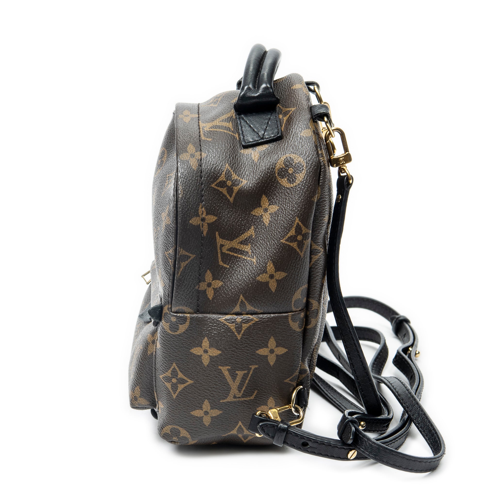 Backpack Palm Springs PM Brown Monogram Canvas