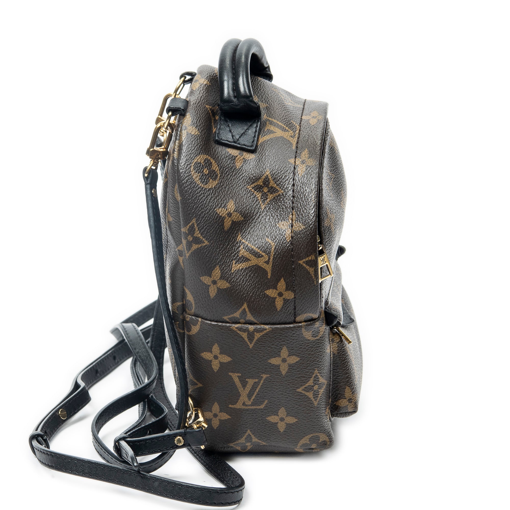 Backpack Palm Springs PM Brown Monogram Canvas