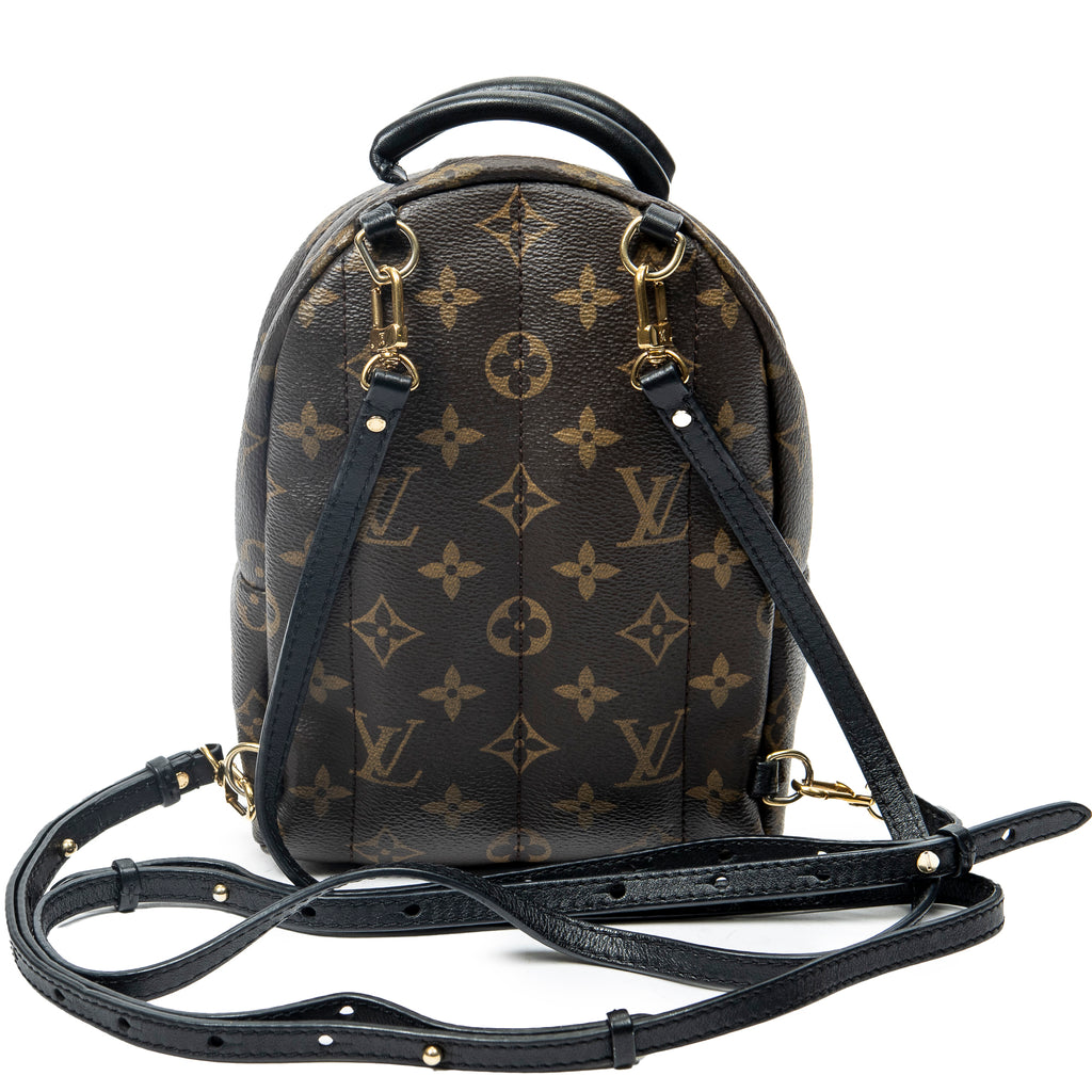 Backpack Palm Springs PM Brown Monogram Canvas