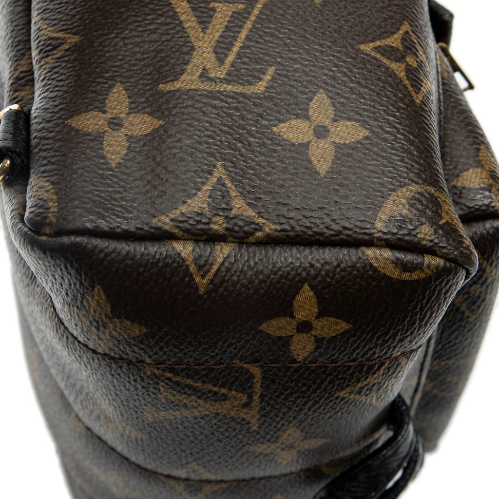 Backpack Palm Springs PM Brown Monogram Canvas