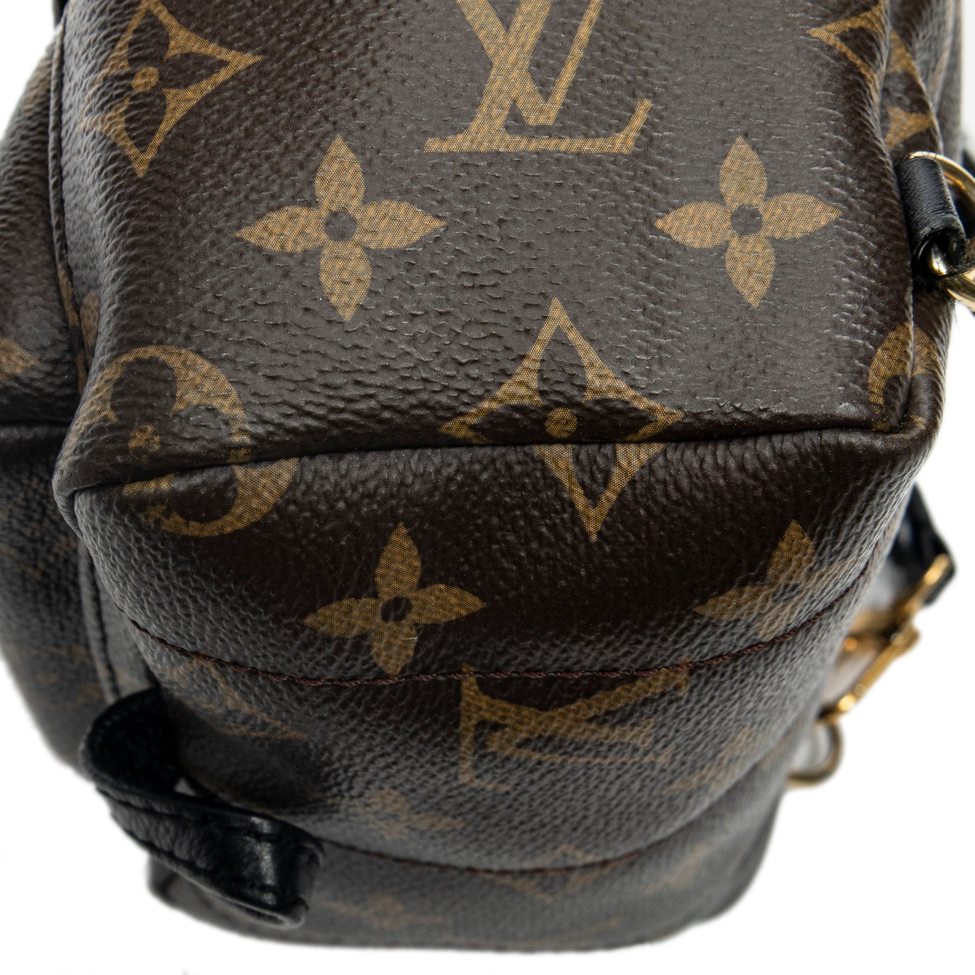 Backpack Palm Springs PM Brown Monogram Canvas
