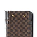 Handbag Berkeley Brown Damier Ebene