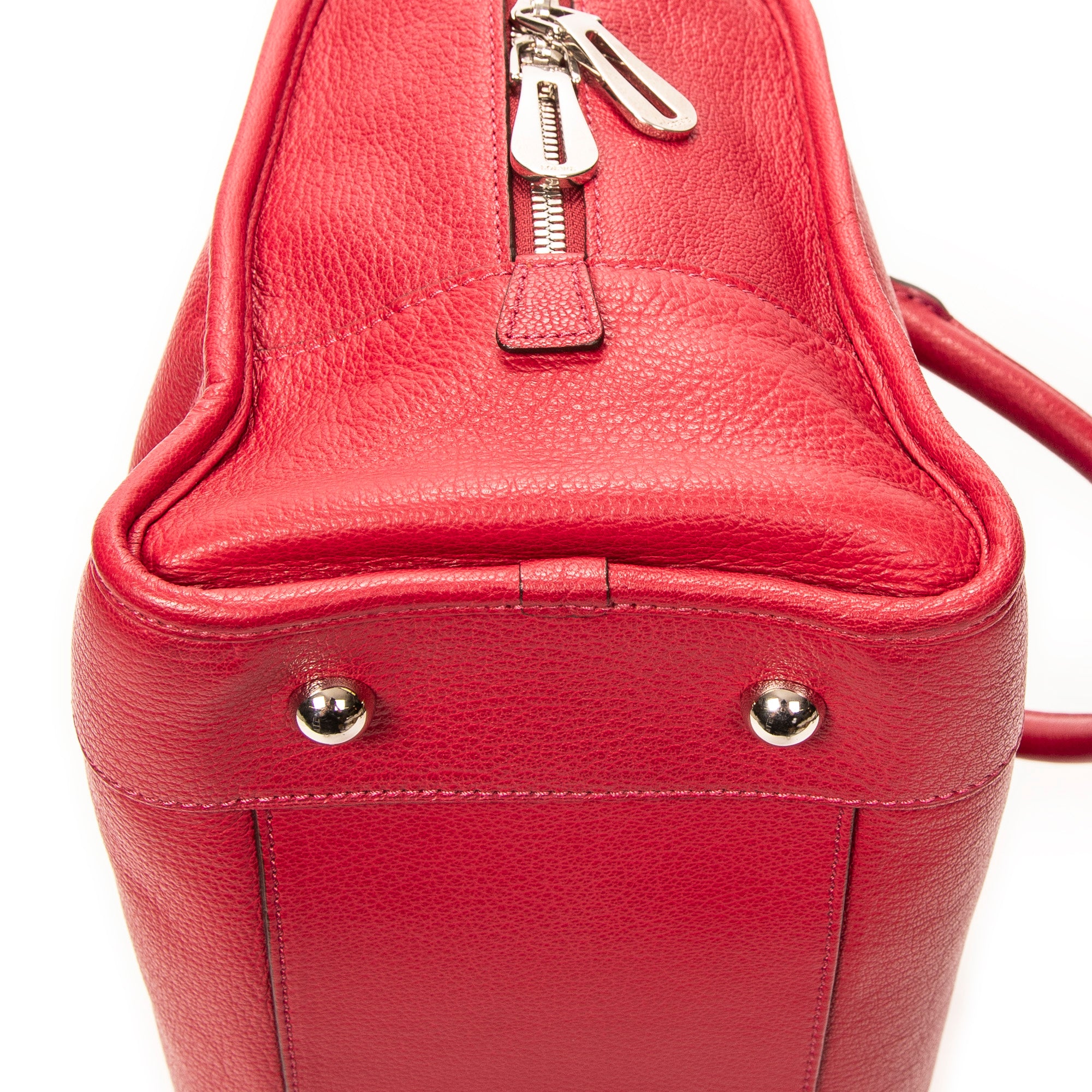 Handbag Amazona 36 Fuchsia Goatskin Leather