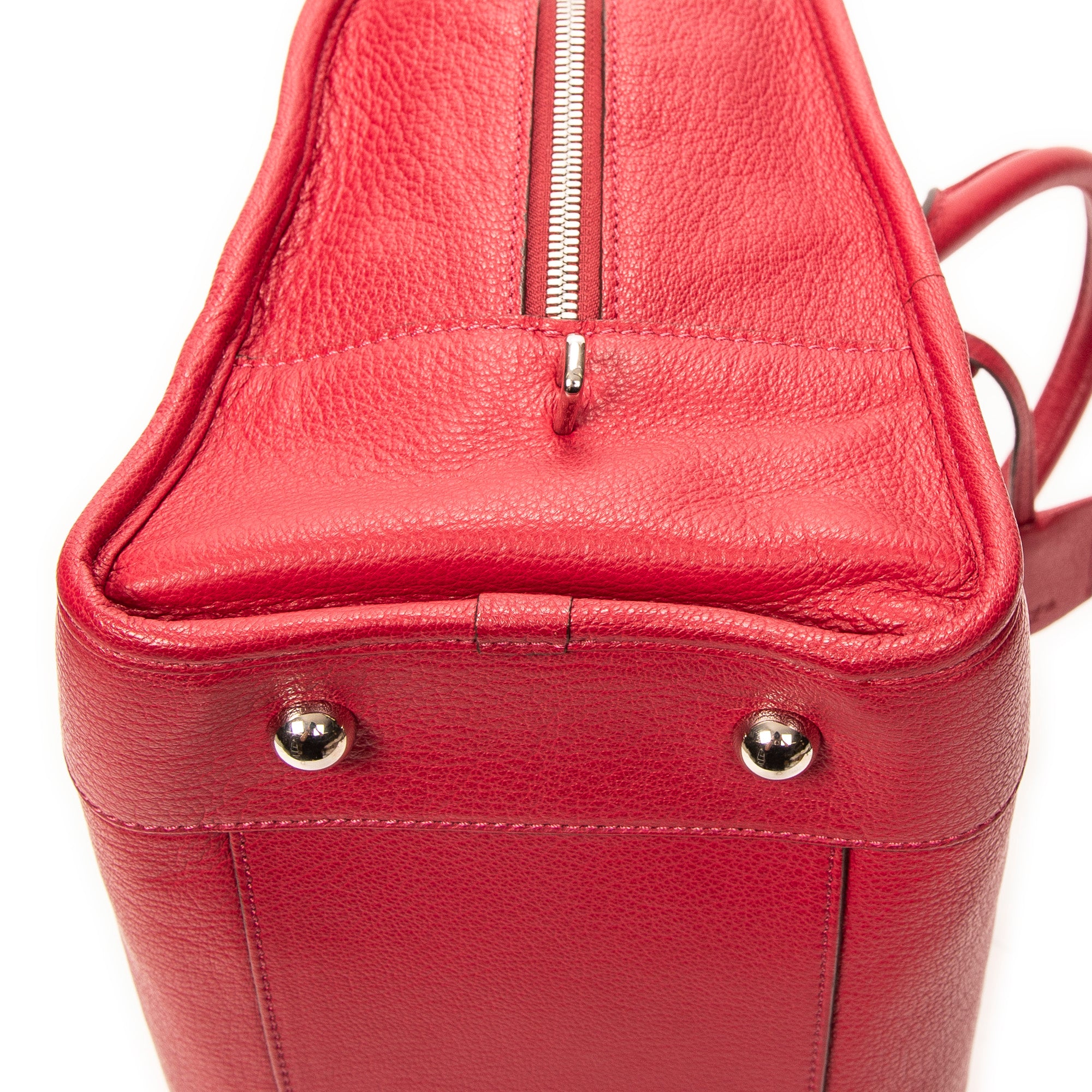 Handbag Amazona 36 Fuchsia Goatskin Leather